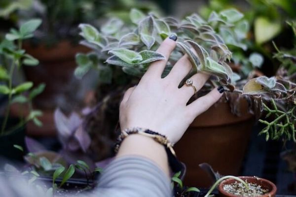 Đeo nhẫn bị xanh tay: Nguyên nhân và 4 cách khắc phục hiệu quả Phản ứng hóa học giữa kem dưỡng da và kim loại của nhẫn