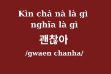 Kìn chá nà là gì, nghĩa là gì mà hot hit trên Tik Tok